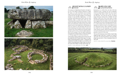 Wild Ruins BC : The explorer's guide to Britain's ancient sites by Dave Hamilton